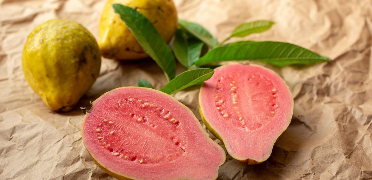 إبحثوا عن الثمار الجديدة