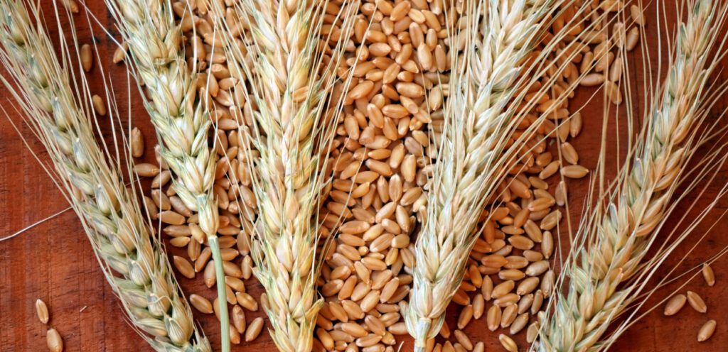 لتحضير المخبوزات