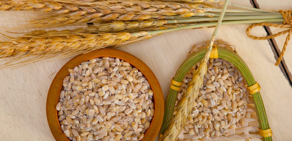 اختاروا المناسب لوصفتكم