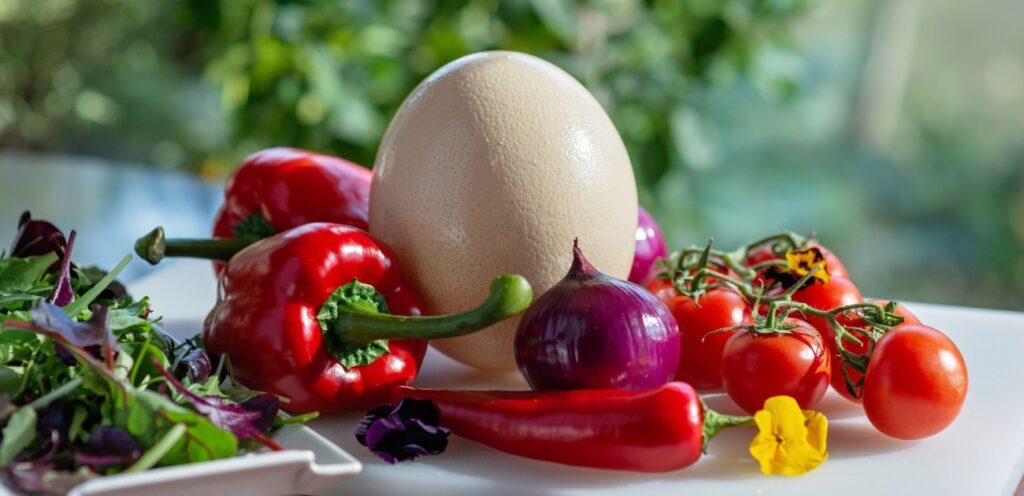 أفكار أكلات للمدرسة صحية ومشبعة منها البيض المسلوق والخضار