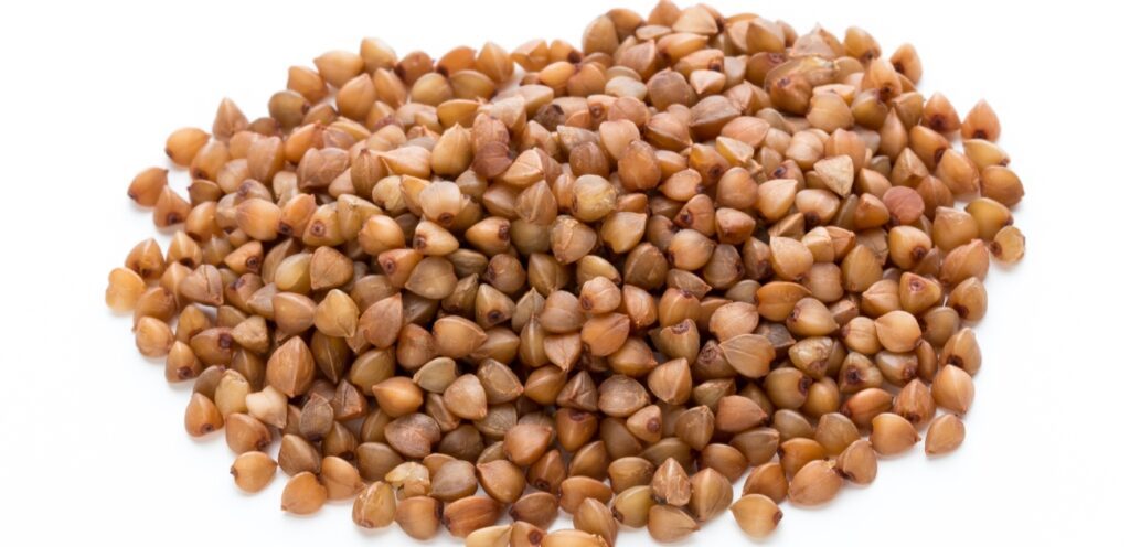 الحنطة السوداء غنية بالفوائد الغذائية