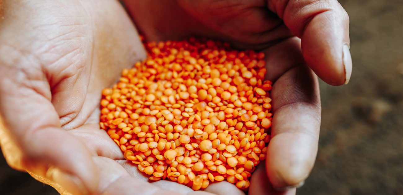 البقوليات ضرورية