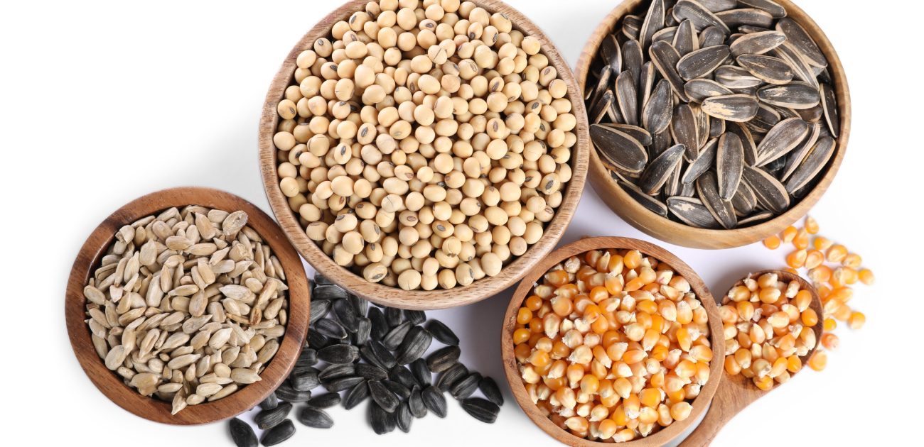 فوائد علاجية