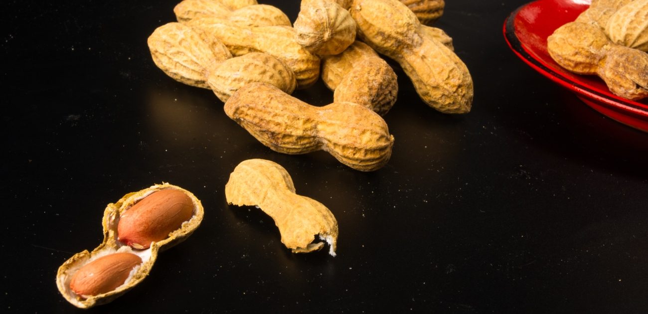 الفول السوداني