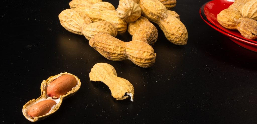 الفول السوداني