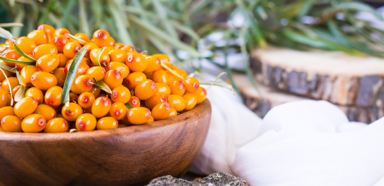فاكهة نبق البحر مصدرًا غنيًا بالعناصر الغذائية والفوائد المتنوعة