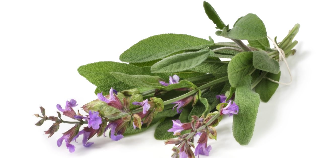 استخدموها بطريقة صحيحة