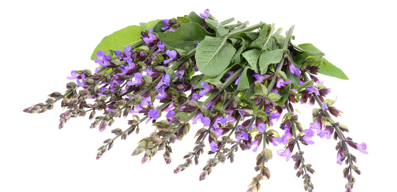 تتمتع بقدرة علاجية