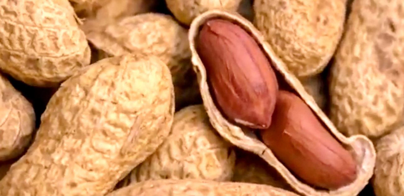 صحي ومفيد