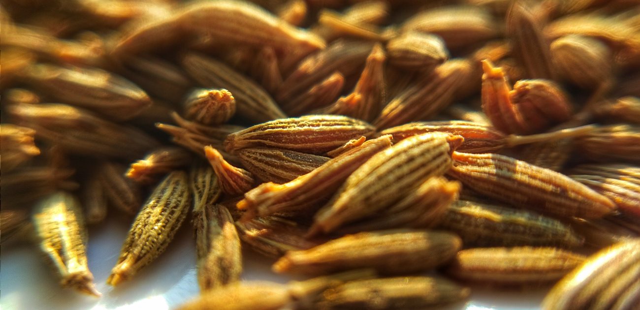 غني بالحديد