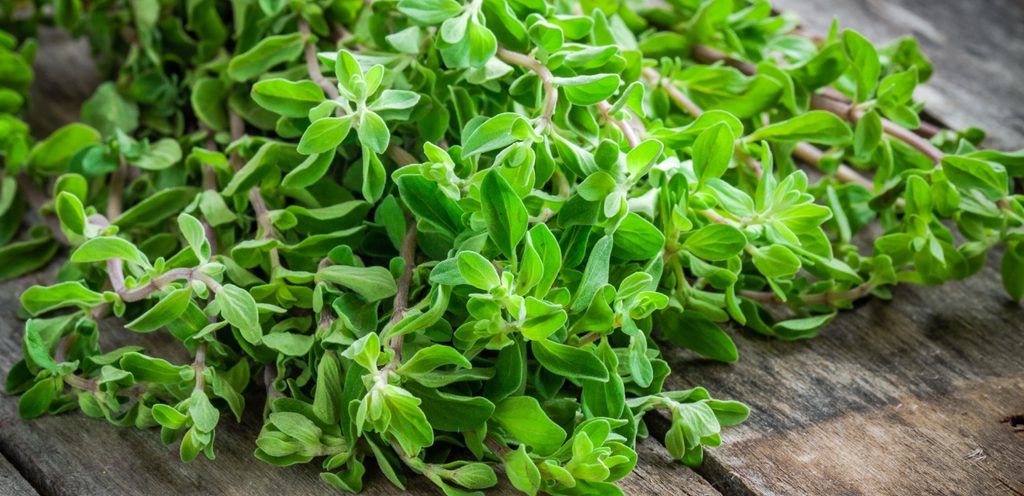 البردقوش الطازج فوائده لا تعد ولا تحصى