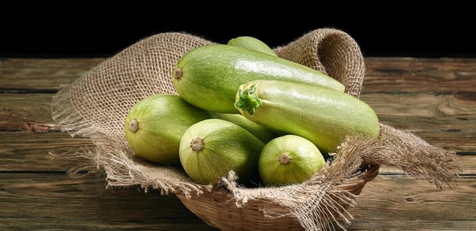 تجهيز حبات الكوسة