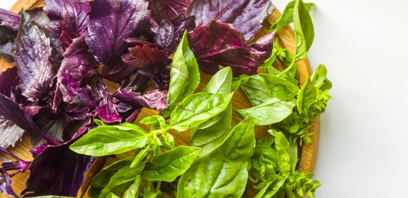 تعرفوا على أنواع الريحان العديدة وأبرز استخداماته في الطبخ!