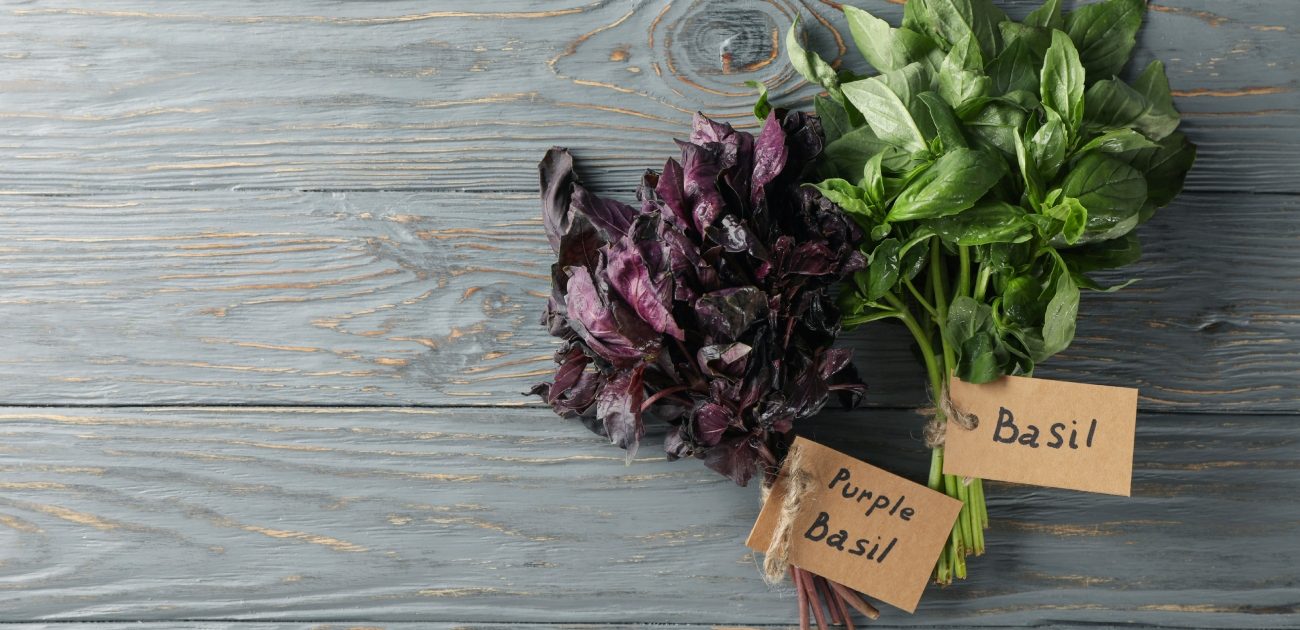 تعرفوا على أنواع الريحان العديدة وأبرز استخداماته في الطبخ!