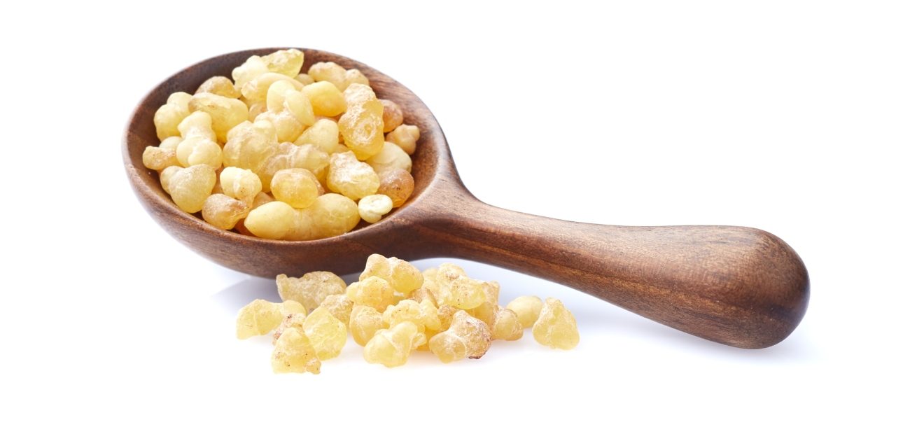 لبان الذكر صمغ طبيعي مفيد للصحة