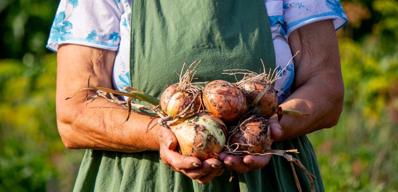 زراعة بيولوجية