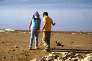 شامية