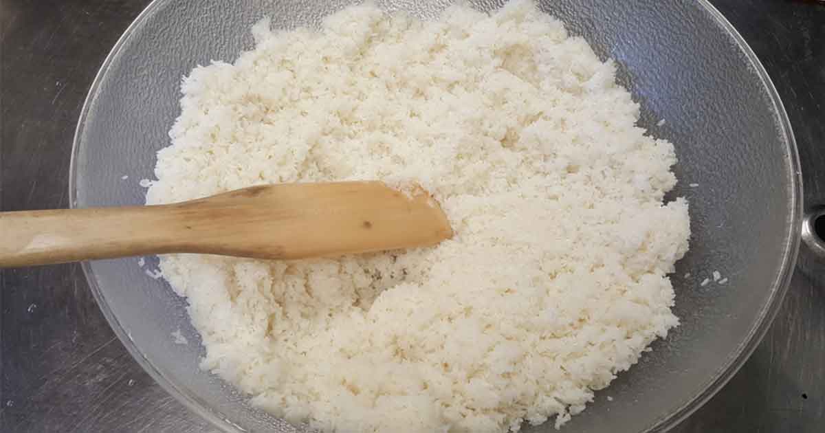 Plant, Rice, Vegetable