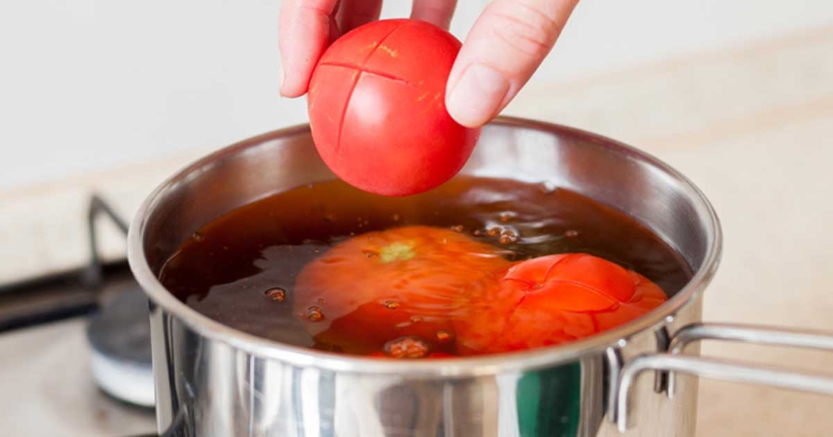 Bowl, Dish, Meal