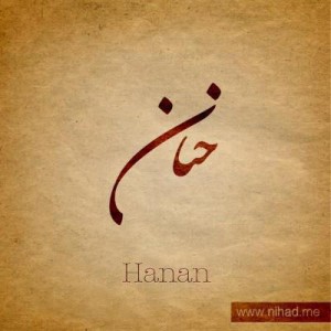 hananz2009