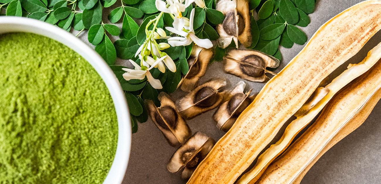 عشبة تعالج 40 مرضًا وتسيطر على مستوى السكر وتقوي الذاكرة وتحمي من الزهايمر إكشتفوا ما هي!