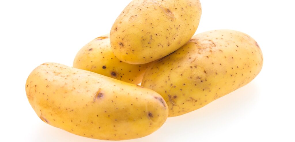 أفضل أنواع البطاطس
