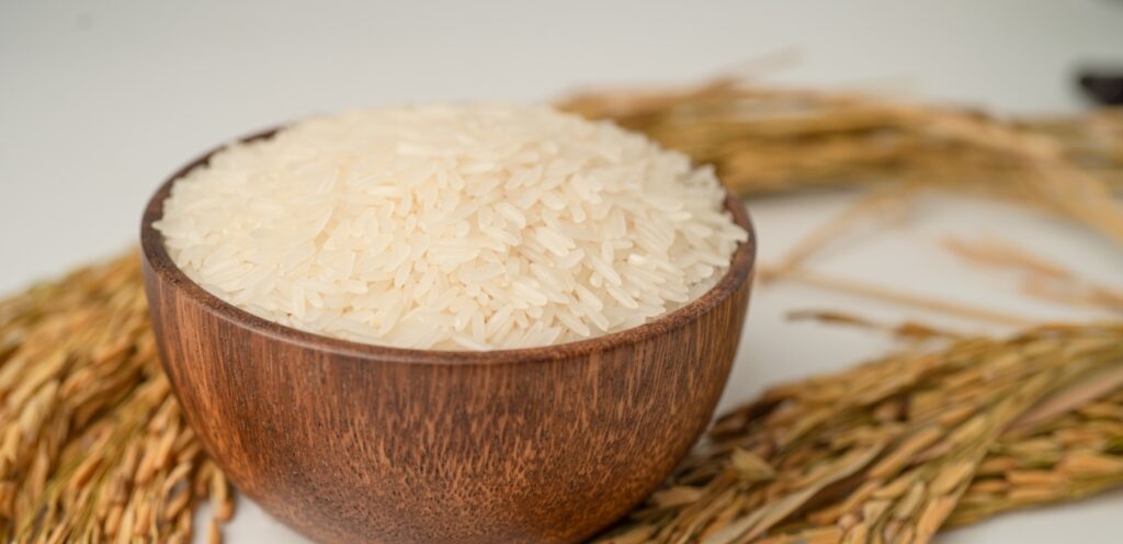 الأرز من أكثر الحبوب استخدامًا حول العالم