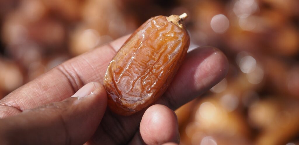 التمر عني بالفوائد الغذائية