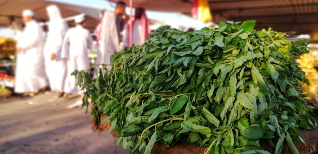 الملوخية الخضراء