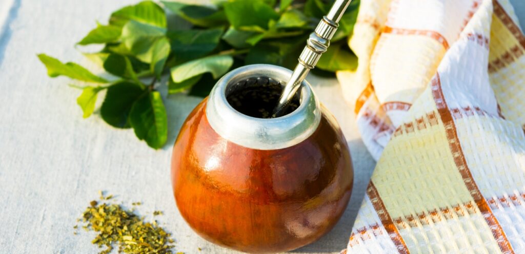 ما هي المتة.. وما هو السر وراء هذا المشروب العشبي الرائع؟